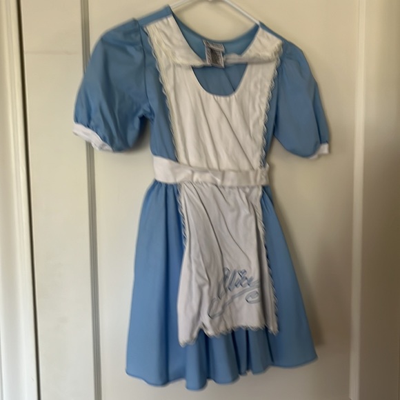 Vintage Disney Parks Alice in Wonderland Alice Dress, Size Medium. - Picture 5 of 6